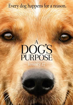 A Dog’s Purpose (2017) หมา เป้าหมาย และเด็กชายของผม