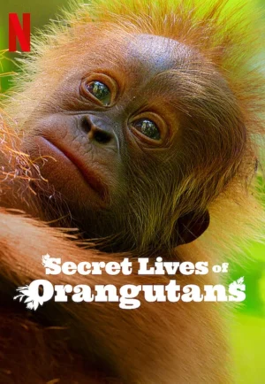 Secret Lives of Orangutans (2024) ชีวิตลับอุรังอุตัง